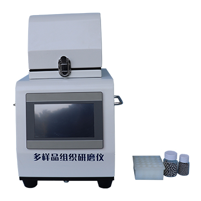 多樣品組織研磨機XY-64W